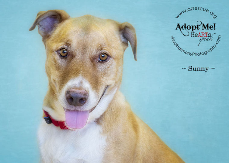 Someone to love: Sunny